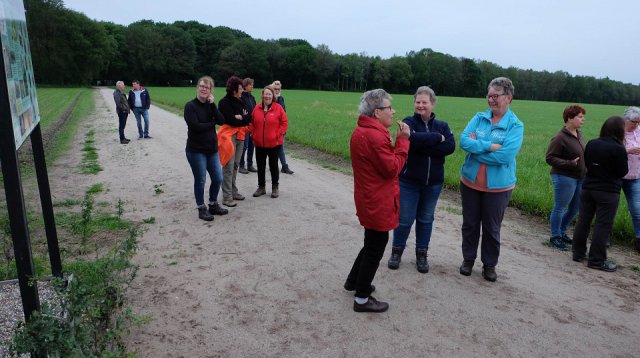 Dauwtrappen (donderdag 30 mei 2019)